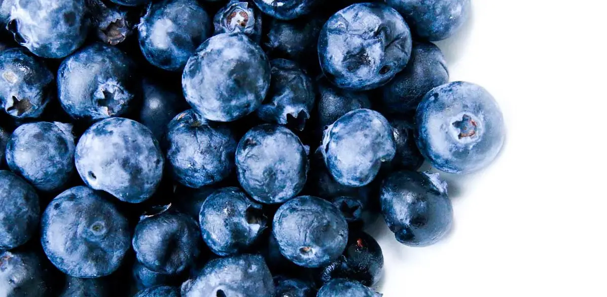 blueberries