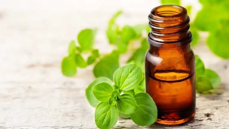 How To Use Oregano Oil For Asthma
