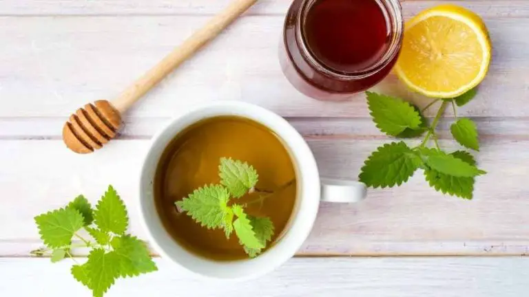 stinging-nettle-tea-with-honey-and-lemon